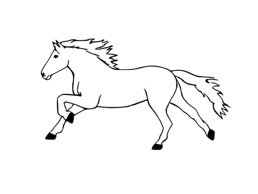 Konj2