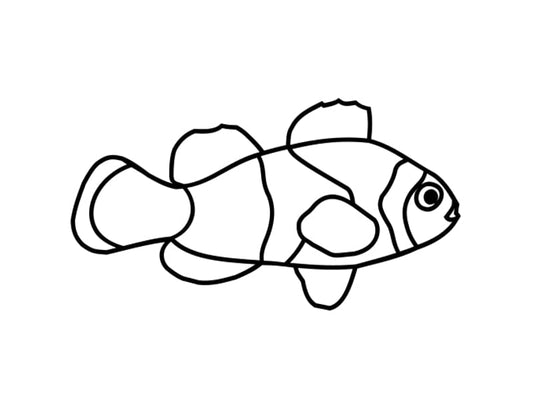 Riba 1 - moodla.eu